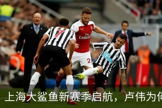 上海大鲨鱼新赛季启航，卢伟为何选择低调应对？